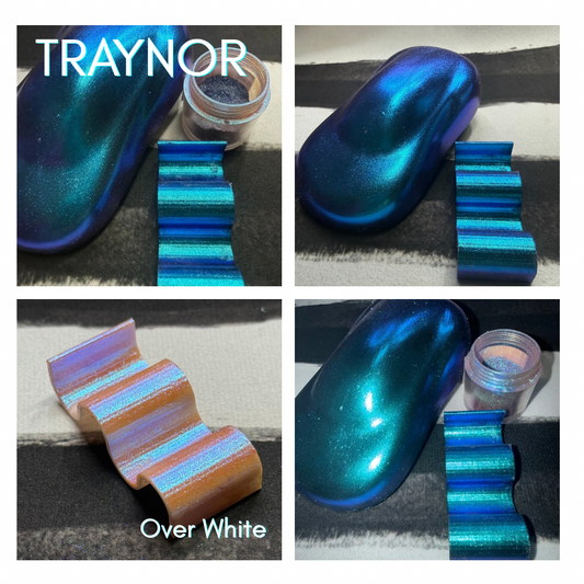 Traynor - Super Chameleon